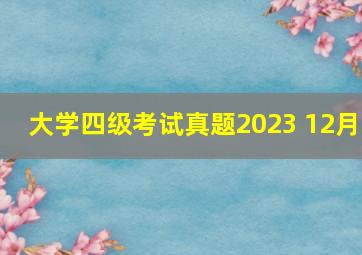 大学四级考试真题2023 12月